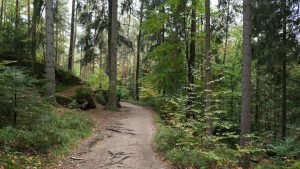 Puszcza Borecka - szlaki turystyczne i piesze trasy