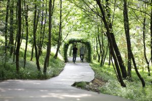 Trasy rowerowe w Puszczy Piskiej - szlaki dla rowerzystów