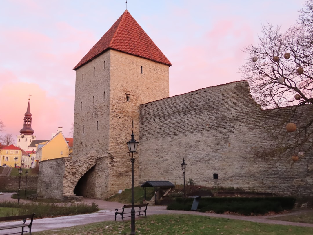 Puszcza Piska - historia, legendy i ciekawostki