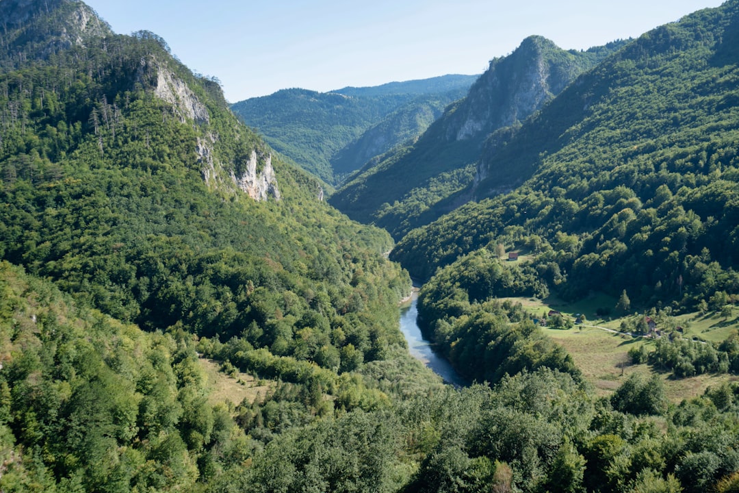Rezerwaty przyrody na Mazurach - najciekawsze miejsca do zobaczenia