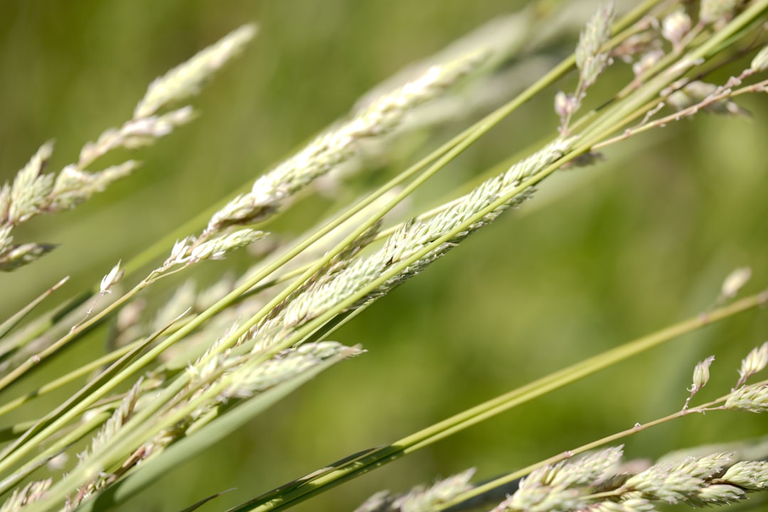 Mazury Cud Natury: czym charakteryzuje się ten projekt?