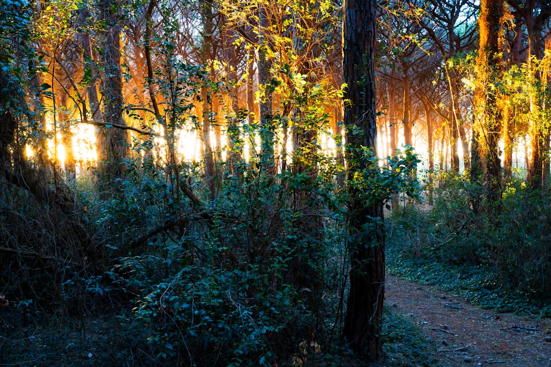 Porty i mariny na Mazurach. Poradnik dla żeglarzy