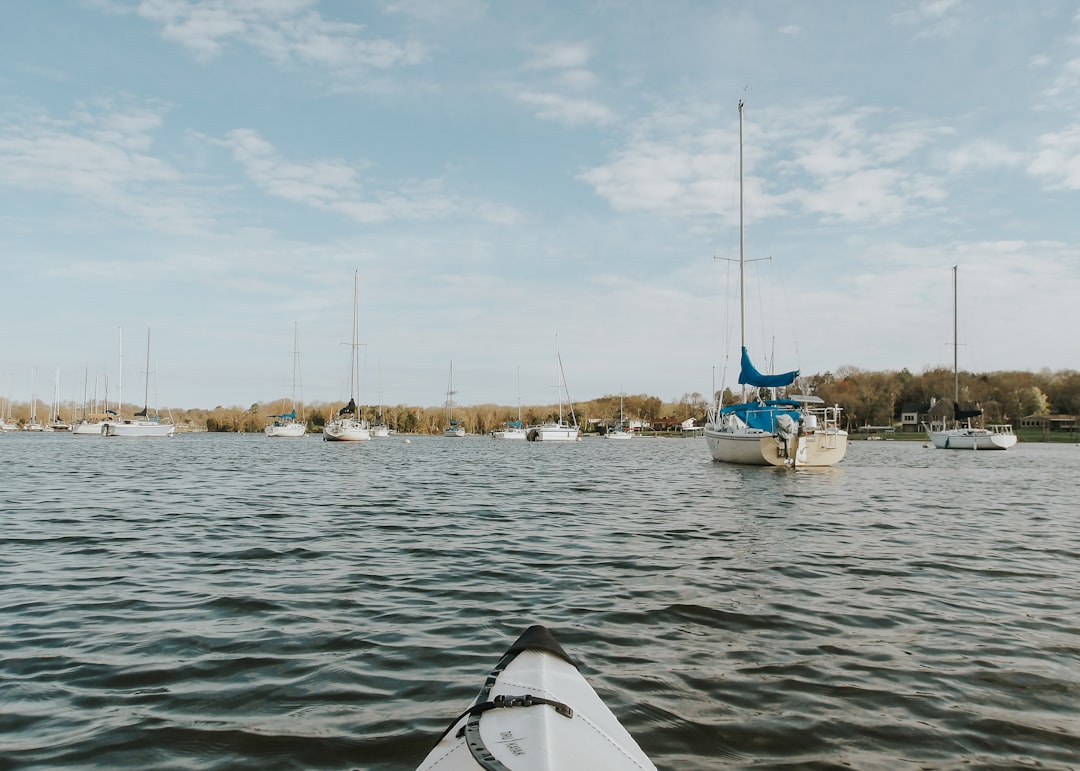 Gdzie na kajaki – spływ rzeką Łyną
