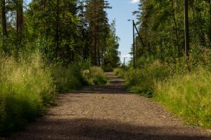 Najciekawsze szlaki turystyczne w Mrągowie